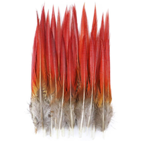 Vente en gros de queues de faisan doré naturel de 5 à 25 cm Plumes à pointe rouge pour coiffure de carnaval Artisanat Costumes de danse