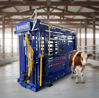 Chute de manipulation de bétail robuste de 6 pieds en fer et acier thermolaqué, équipement d'encadrement pour bovins, pour ferme et enclos à vaches