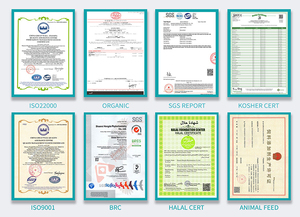 ผงคะน้าออร์แกนิก ผงน้ำคะน้า ผงคะน้าที่อุดมไปด้วยสารอาหาร - Product Image 6