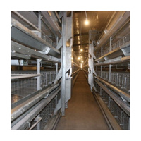 Nouvelle cage à poules pondeuses en batterie de type H pour ferme avicole automatique, capacité 5000 oiseaux, en acier galvanisé