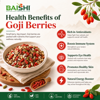 Gedroogde Gojiberry-fruitjes AD Gedroogde biologische Ningxia-oorsprong 280 korrels per 50 g Klaar om te eten Premium kwaliteit Gezond
