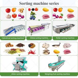 Cherry Date Mango <b>Vegetable</b> <b>Fruit</b> Olive Garlic Automatic Size Grading Sorting <b>Machine</b> for <b>Fruit</b> and Table - Product Image 6