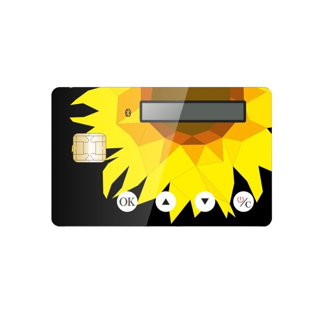New Design PET/PVC ISO Standard Security E-ink Smart Card