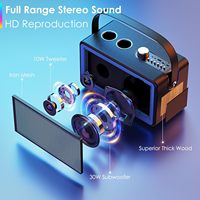 Máquina de Karaoke con 2 Micrófonos Inalámbricos, Sistema de Altavoces Portátil de 30W para el Hogar con Luces de Discoteca y Correa