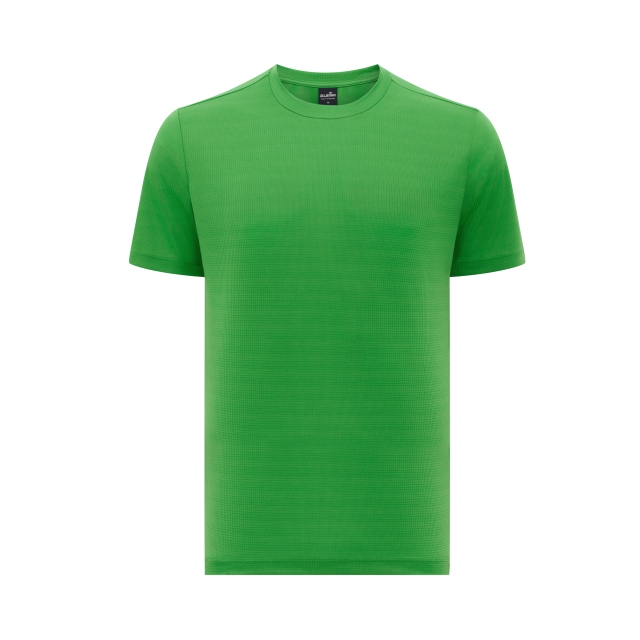 Vert