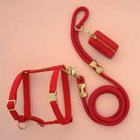 Laisse ronde robuste et résistante avec harnais assorti pour chien, sac à crottes, ensemble d'articles pour chien pour chiens de petite et moyenne taille, promenade en ville, jeu
