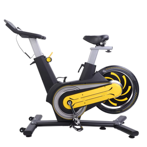 Nouveau Vélo de Spinning Silencieux 2025 pour Fitness à Domicile, Résistance Réglable, Volant d'Inertie 6kg, Vélo de Spinning d'Intérieur Chinois - Product Image 1