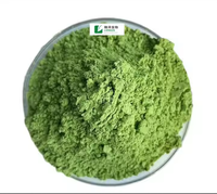 Poudre de Super Greens de qualité alimentaire, extrait d'herbes sauvages, compléments nutritionnels, mélange de fruits et légumes