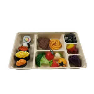 Biodegradable Disposable Plates Bamboo Sugarcane Bagasse Pulp 6 Compartment sashimi Plate Tray