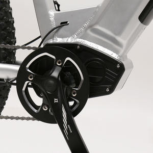 Vélo de montagne électrique pour adultes TXED Factory OEM 48V 750W, moteur à entraînement arrière, 9 vitesses, frein à disque hydraulique tout-terrain EMTB - Product Image 5