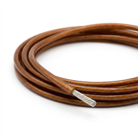 Fil isolé PEEK haute température 250°C, 24AWG-10AWG, 300V, résistant aux radiations et à l'abrasion, pour chauffage, directement de l'usine