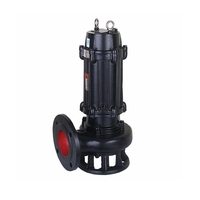 Pompa Celup Listrik untuk Irigasi Pertanian, 0,55 kw hingga 7,5 kw Pompa Celup CNP 2 Inci