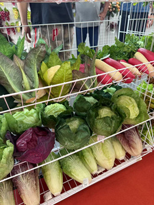 LO-703 Frutta e Verdura Artificiale Decorativa all'Ingrosso, Modelli Realistici di Arance Finte per Esposizione in Negozi di Succhi - Product Image 2