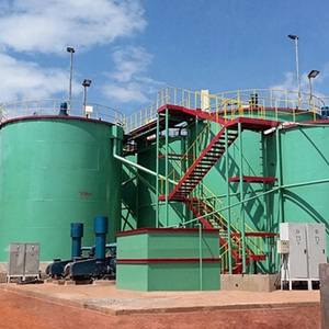 Planta de Lixiviación de Oro/Línea de Producción de Oro/Planta de Procesamiento de Cobalto para Minería de Oro - Product Image 1