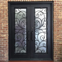 Porte d'entrée de sécurité en acier avec verre, portail extérieur double en fer forgé noir à vendre