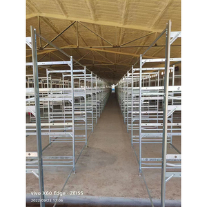 <span class=keywords><strong>Poulailler</strong></span> en acier de type A nouvelle condition Cage de couche automatique pour batterie de volaille <span class=keywords><strong>Poulailler</strong></span> Cage de poulet en fil - Product Image 1