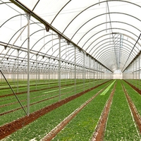 Multi-Span PE PO Film Serre avec système hydroponique pour la plantation de légumes