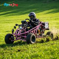 ApexJoy BAJA S4 3000W- Şaft Tahrikli Elektrikli Go Kart Pembe Versiyon 90km/s 120km Menzil Global Satıcı Fiyatı Maksimum Yatırım Getirisi OEM ODM Özel Üretim