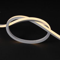 Bande LED néon 3D créative 12x12mm 120 LED/M IP67 Garantie 2 ans Lumière en corde de silicone pour façade architecturale CE ROHS
