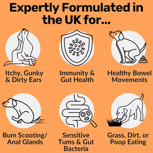 Suplemento Probiótico para Mascotas de Alta Calidad, Directo de Fábrica, Personalizable, 120 Unidades, Favorece la Digestión, Masticables Blandos - Product Image 2