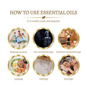 Wholesale Aromatherapy <b>Essential</b> <b>Oil</b> Tangerine Peel <b>Oil</b> 100% Organic Tangerine Peel <b>Essential</b> <b>Oil</b> for Skin Care and Diffuser - Product Image 4
