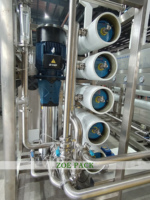 Usine d'eau pure osmose inverse RO système de machines de traitement de l'eau