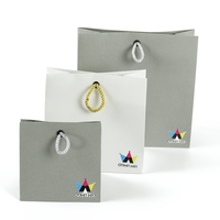 Sacs cadeaux en papier d'art recyclable écologique de luxe imprimés en gros, 250 g/m², avec poignées en ruban, pour cosmétiques, shampooing, mascara