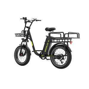Vélo cargo électrique pour adultes X7 KOOLUX, moteur sans balais 250W, assistance au pédalage, alliage d'aluminium, écran APP, freins à disque doubles, électronique - Product Image 4