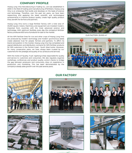 Engrais granulaire à libération rapide AGRILONG NPK 18-16-8+TE de haute technologie, service OEM Vietnamien, stimule le rendement et améliore la qualité - Product Image 5