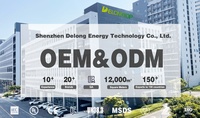 Harga Pabrik 14 Tahun Pengalaman 64V 105Ah 200Ah BMS Lifepo4 Baterai Daya untuk Baterai Golf Cart Merek DELONG 2000 Siklus