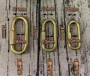 Emniyet Tokası Yaylı Kanca 304 Paslanmaz Çelik <span class=keywords><strong>D</strong></span>-şekilli Hızlı Bağlantı Dağcılık Evcil Hayvan Zinciri Paslanmaz - Product Image 1