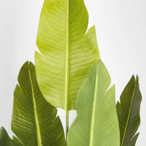 200Cm Nhân Tạo Chim Thiên Đường Cây Giả Sàn Nhà Máy Giả Lụa Giả Lá Cây Nhiệt đới Với Nồi Cho Trang Trí Nội Thất - Product Image 2