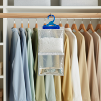 Sachets déshumidificateurs en chlorure de calcium en gros - Piège à humidité à haute absorption pour la maison, personnalisation du logo OEM disponible