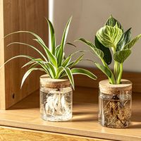 Ensemble de vases en verre pour la propagation des plantes - Vases de bureau/chevet pour boutures de plantes, 2 grands et 2 petits, décoration de maison neuve