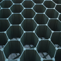 Grille de stabilisation perméable en HDPE pour allées en béton, parkings et gazon, avec système de fixation rapide – Fournisseur direct usine