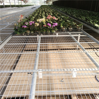 Table roulante en fil d'acier durable, bancs de serre roulants, bacs à semis mobiles, banc roulant en filet d'acier pour la plantation de fleurs