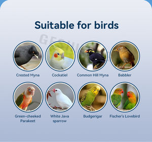 <span class=keywords><strong>2025</strong></span> Nieuwe Vogelkooi Show Vogels Vogel Show Kooi Display Kooien Voor Papegaai - Product Image 5