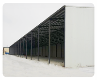 Bâtiment de hangar agricole à grande structure en acier à extrémités ouvertes à faible coût
