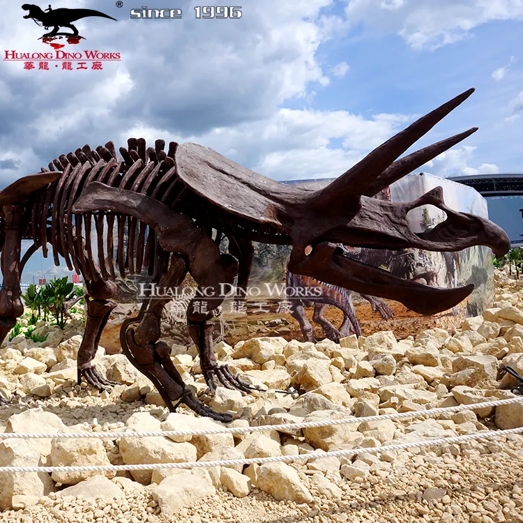 Tamanho de vida da exposição do museu <span class=keywords><strong>triceratops</strong></span> esqueleto fóssil <span class=keywords><strong>réplica</strong></span>