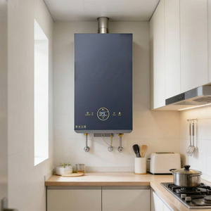 Chauffe-eau à <span class=keywords><strong>gaz</strong></span> à température constante en acier inoxydable et cuivre, <span class=keywords><strong>prix</strong></span> de gros, pour salle de bain, cuisine, lavage, usage domestique extérieur - Product Image 5