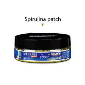 Acuario Betta Guppy Spirulina parche BIOZYM Comida para peces - Product Image 3