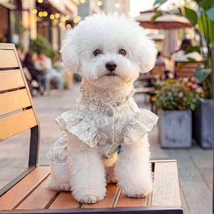 Wholesale Cotton <b>Light</b> Blue Lace <b>Dog</b> Dress-Summer Spring Satin Bow & Ruffled Hem for Elegant Formal Princess Style - Product Image 1