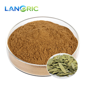 <strong>100</strong>% <strong>Natural</strong> Senna Leaf <strong>Extract</strong> Powder Sennosides Senna Leaves <strong>Extract</strong> - Product Image 1