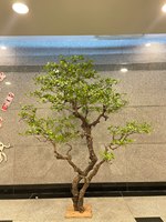 Pohon Bunga Sakura Buatan Realistis untuk Dekorasi Hotel, Vila, Lanskap Zen, dan Jendela Dalam Ruangan