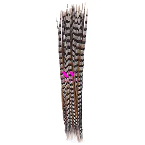 Plumas de faisán naturales cortas, cola de venado, 50-55cm, venta al por mayor (a granel)