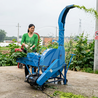 Nueva Picadora de Forraje de Alta Capacidad con Alimentación Automática, Amasadora y Cuchillas de Acero Inoxidable 304, 5 Toneladas por Hora para Procesamiento de Alimentos para Ganado