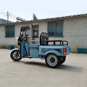 Tricycle <span class=keywords><strong>Cargo</strong></span> <span class=keywords><strong>Électrique</strong></span> Polyvalent Mini 2025 pour Personnes Âgées à Vendre - Product Image 2