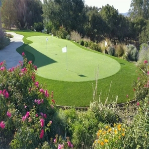 Erba artificiale di plastica verde per una facile manutenzione per le sale espositive - Product Image 5