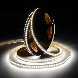 24V 50meter Roll SMD2835 120LED/M Constant Current Without Voltage Drop Rope Light Flexible LED Strip Light