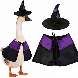 Conjunto de Sombrero, Abrigo y Falda de Bruja para Halloween, Decoración de Otoño para el Porche, Artículos para Mascotas, Fiesta, Gato - Product Image 1